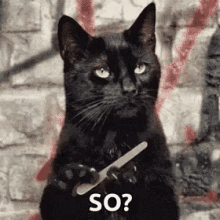 yes-so.gif