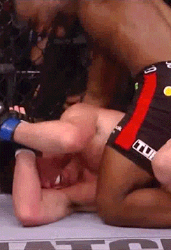 tumblr_mwepwj3hDu1qaa8d1o3_250.gif