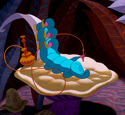 a886bdb4d45c3403443a6ba67847f30f.gif