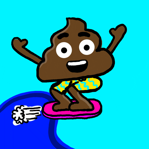 giphy.gif