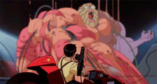 tumblr_mhdb4bkfdP1rlgmm9o1_500.gif