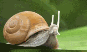 122438AbandonThread.gif
