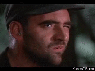 8MOE.gif