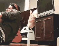 tumblr_lwxpb1vSj31r8cvzdo1_250.gif