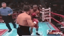 zab-judah-knock-out-queen-mama-just-killed-a-man.gif