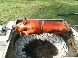 Pig-On-A-Spit.gif