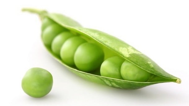 peaproteinpowder.jpg