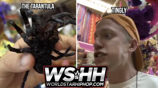 worldstar.com