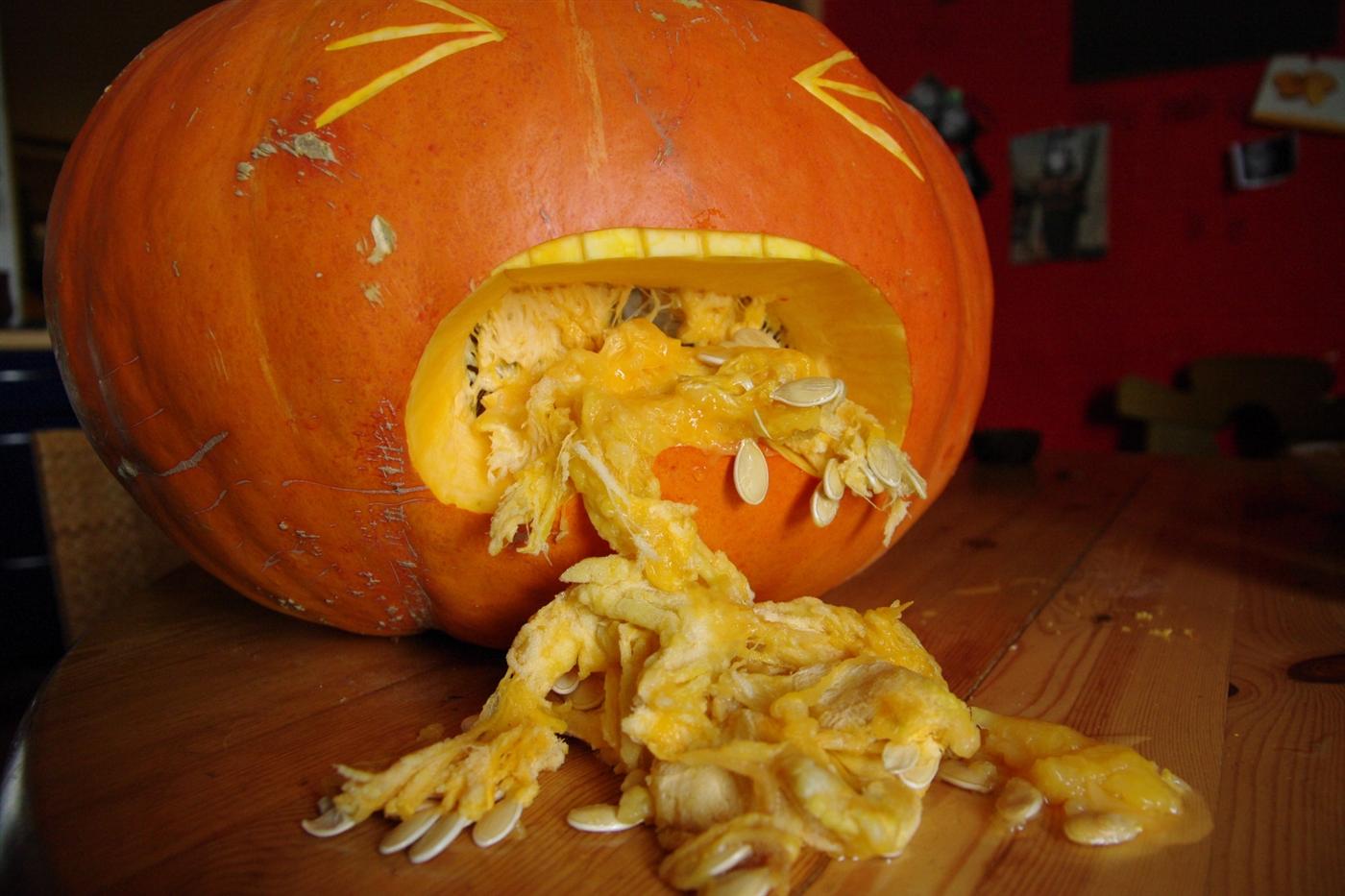 Puke_pumpkin_k%C3%BCrbis_halloween2.JPG