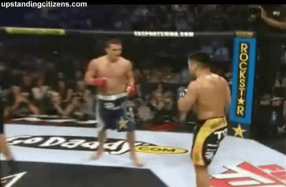 10001330.gif