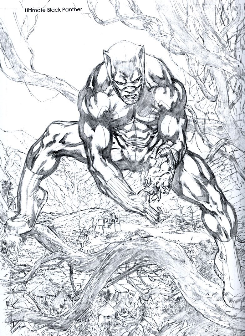 panther.jpg