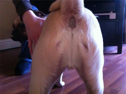 tumblr_lusaiscH2M1qh11l9o1_500.jpg