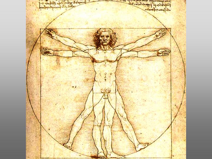 Pillar8-Thought-and-Art-Vitruvian-Man-Leonardo-da-Vinci.jpg