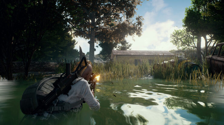 battlegrounds_swamp-740x416.jpg