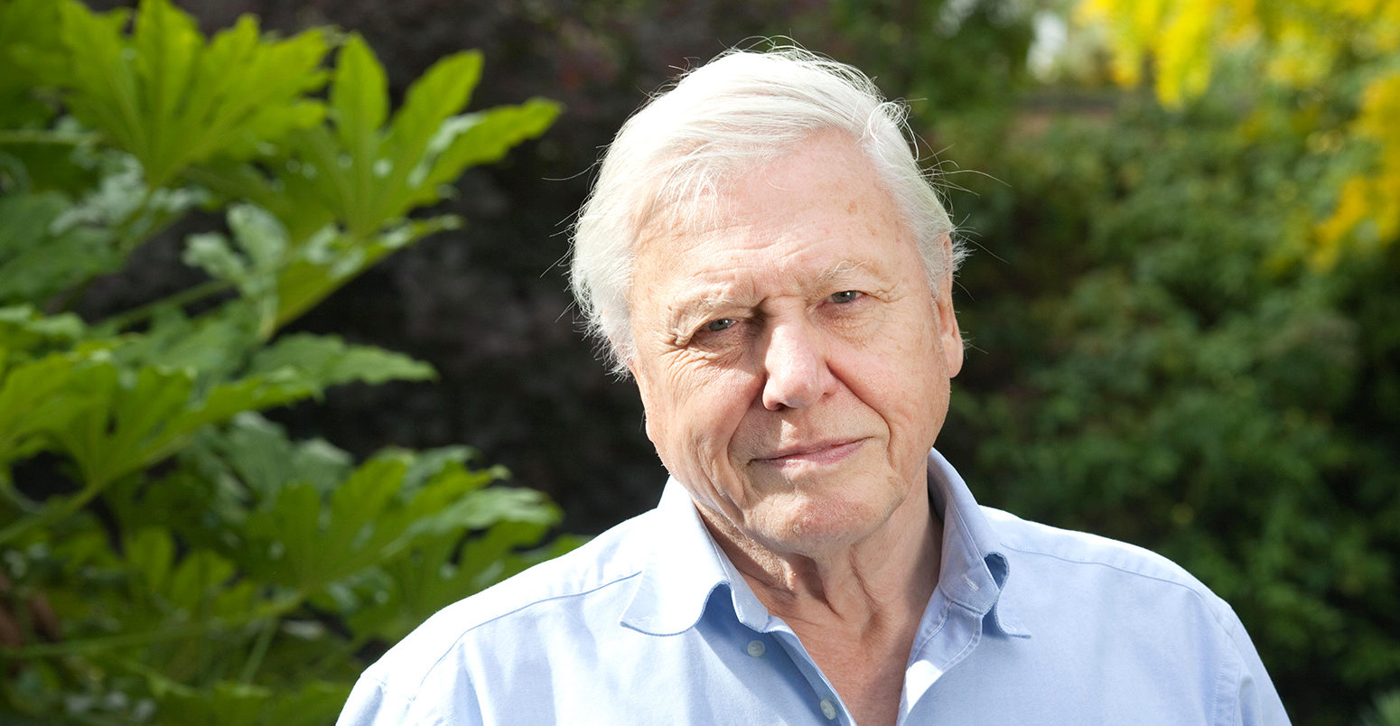 david-attenborough-sm-1550x804.jpg