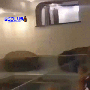 fail.gif