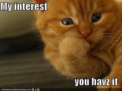 funny-pictures-my-interest-cat1.jpg