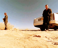 tumblr_ms4cqsuUFZ1qdrcyyo2_250.gif