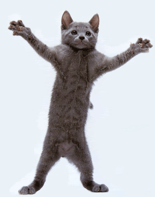 prod_365_10055.gif