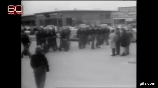 LZw8jW.gif