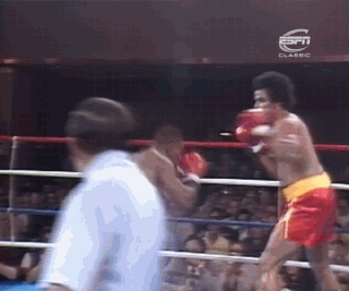tumblr_n6kbzbG8nZ1svefdfo10_r1_400.gif