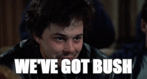 4c6d718037d5d732236567f185667b03.gif