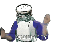 salty-bitter.gif
