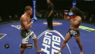 5.gif