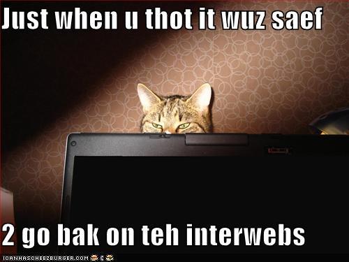 funny-pictures-horror-movie-cat-dark-scary.jpg