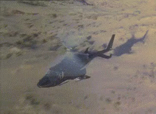 tenor.gif