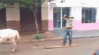 tumblr_n63rvbL3Me1qz6z2wo1_400.gif
