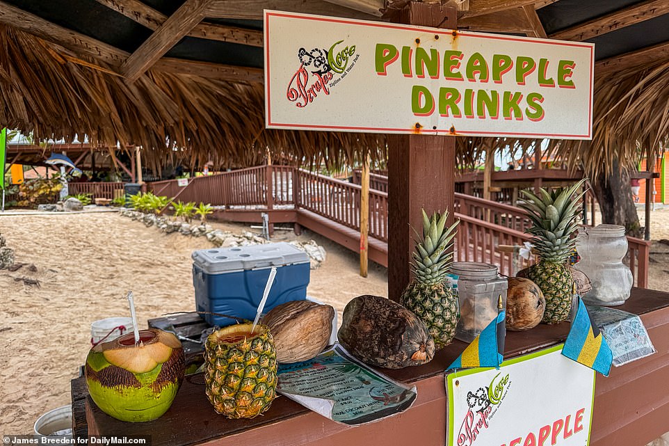 In interviews with US media, the tearful friends said their four-day cruise turned into a nightmare when a hospitality worker offered them a two-for-one deal on the resort's signature cocktails, which are mixed in front of guests and served from coconut shells and hollowed out pineapples