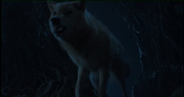 tumblr_o7m1ledwiy1v9tk0ao2_400.gif