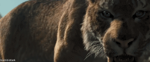 tumblr_lndl8ok3sW1qcw2r4o1_500.gif