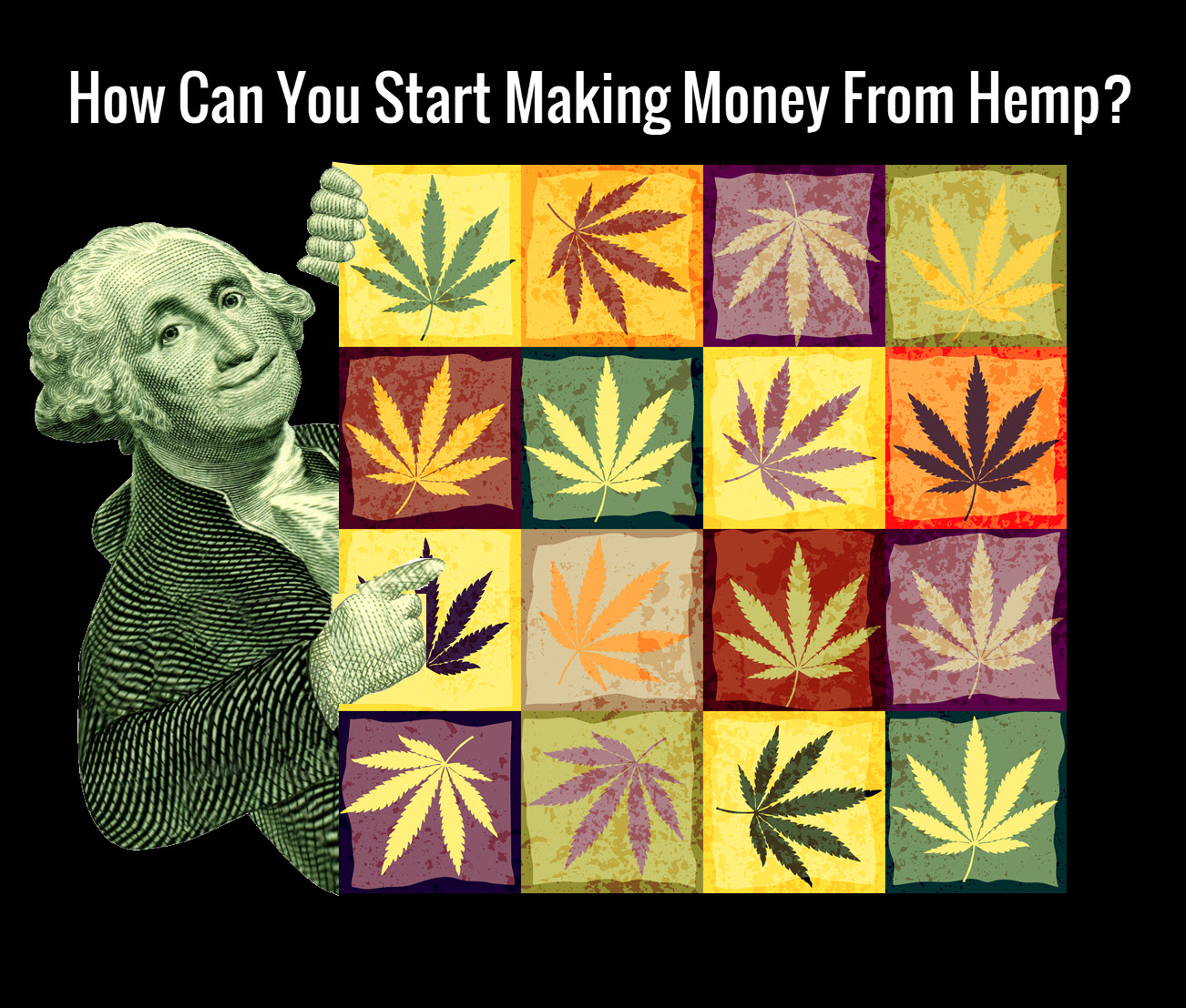 3743_t0GL_howtomakemoneyfromhemp.jpg