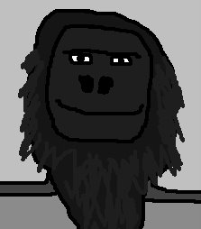 Go%20headshot.jpg