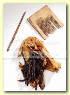 lice4.jpg