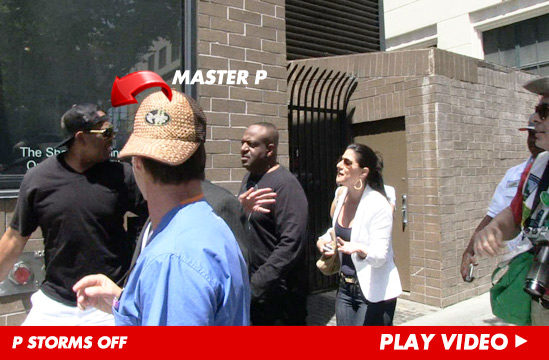 042613-master-p-launch-v6-1.jpg