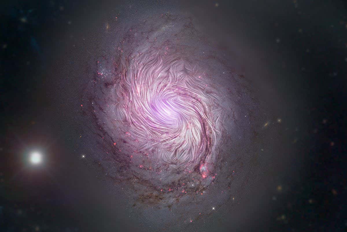 www.newscientist.com