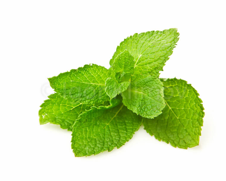 essential-oil-peppermint-2.jpg