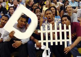D-fence.jpg