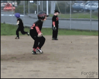 FGcatchtheball.gif