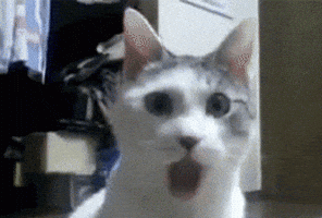 200.gif