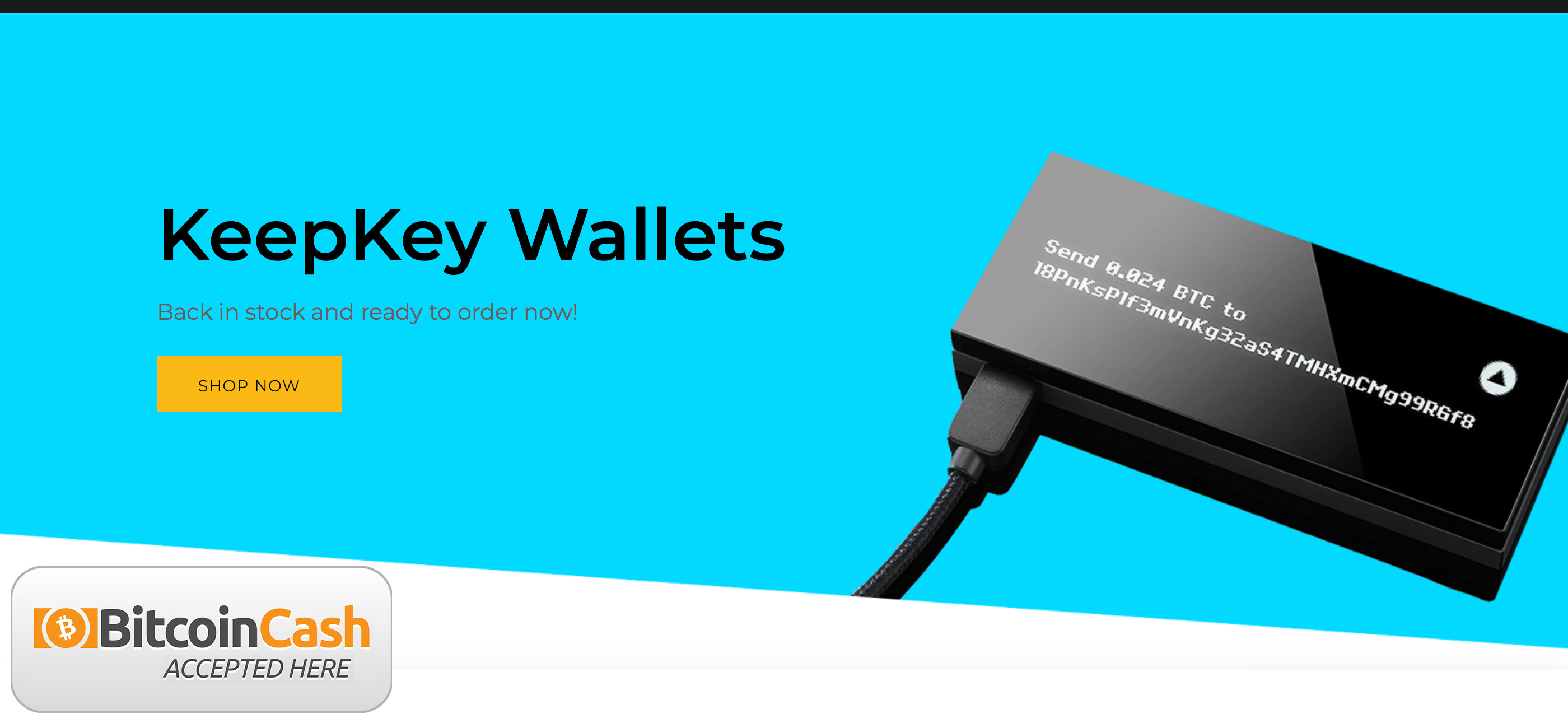 KeepKey.jpg