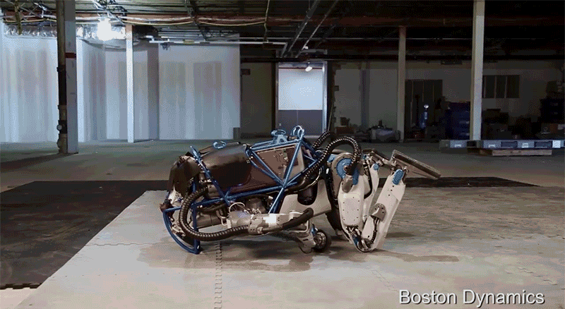aformdeyioo1s56zoz5t.gif