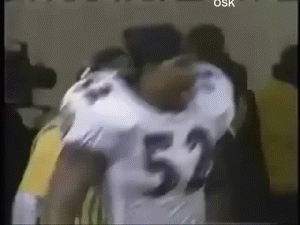 13.gif