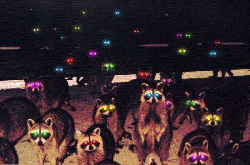 tumblr_mg4quoVwWt1qjav8so1_500.gif