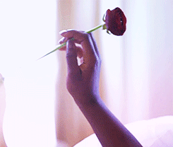 tumblr_n4ieudPIqQ1rjd0hlo1_r1_250.gif