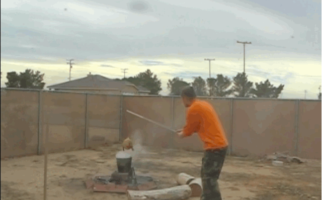 197o29gpgkw8sgif.gif