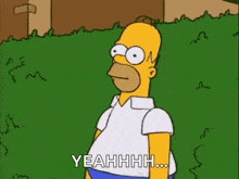 the-simpsons.gif